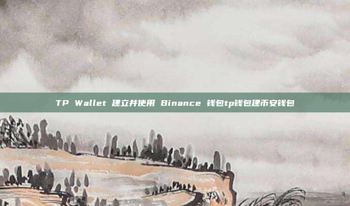 TP Wallet 建立并使用 Binance 钱包tp钱包建币安钱包