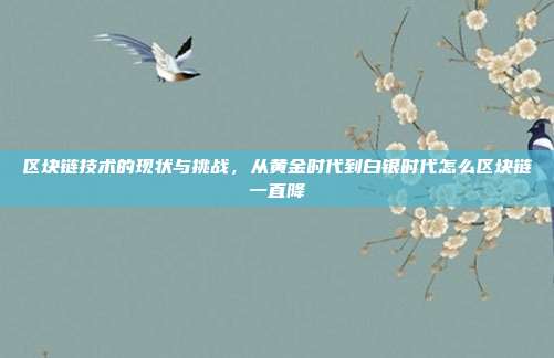 区块链技术的现状与挑战，从黄金时代到白银时代怎么区块链一直降