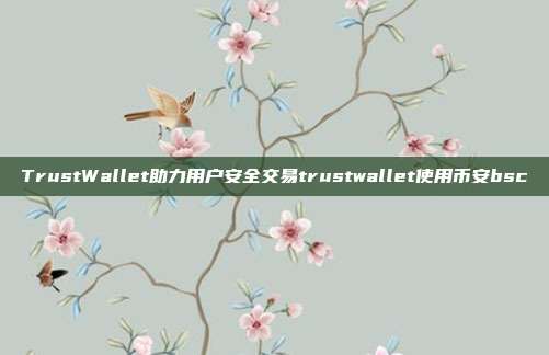 TrustWallet助力用户安全交易trustwallet使用币安bsc