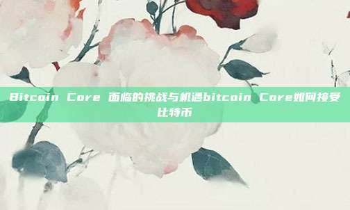 Bitcoin Core 面临的挑战与机遇bitcoin Core如何接受比特币