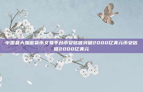 中国最大加密货币交易平台币安估值突破2000亿美元币安估值2000亿美元