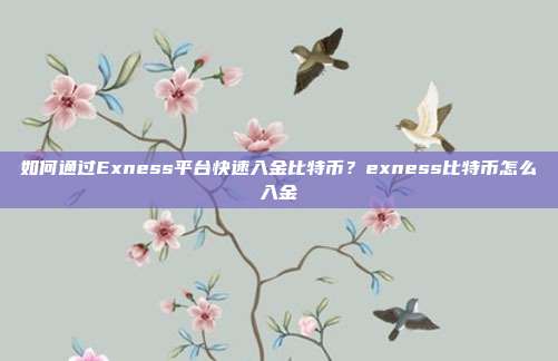 如何通过Exness平台快速入金比特币？exness比特币怎么入金