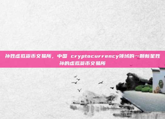 孙姓虚拟货币交易所，中国 cryptocurrency领域的一颗新星姓孙的虚拟货币交易所