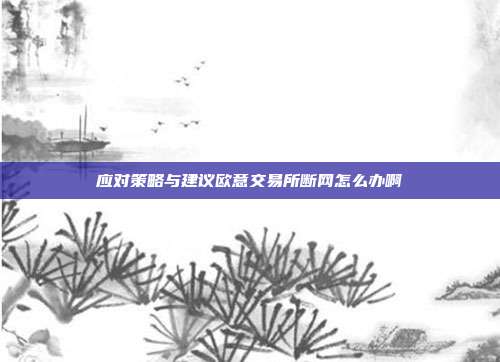 应对策略与建议欧意交易所断网怎么办啊