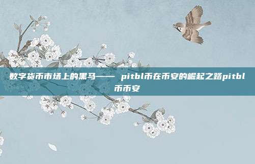 数字货币市场上的黑马—— pitbl币在币安的崛起之路pitbl币币安