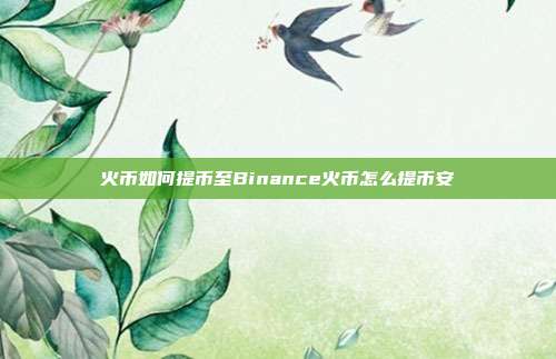 火币如何提币至Binance火币怎么提币安